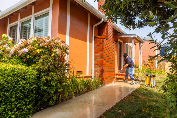 Local Pressure Washing Services in Ignacio, CO
