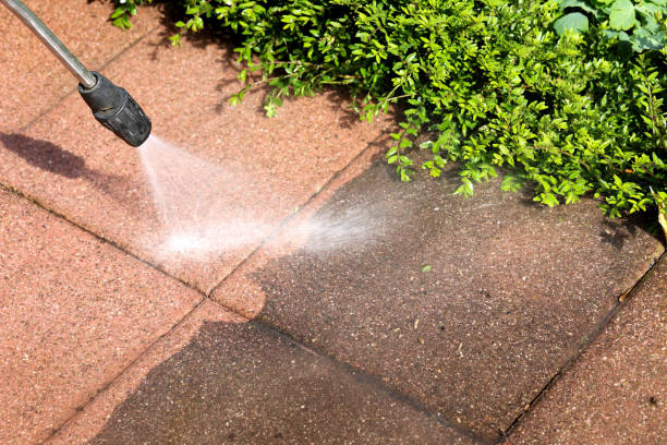 Best Roof Pressure Washing  in Ignacio, CO